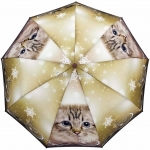 Зонт  женский Popular 1236-1